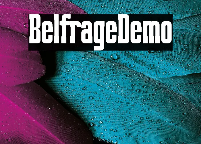 Belfrage Demo Example 1