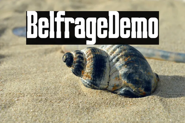 Belfrage Demo Example 3