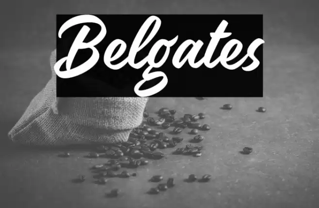 Belgates Font examples