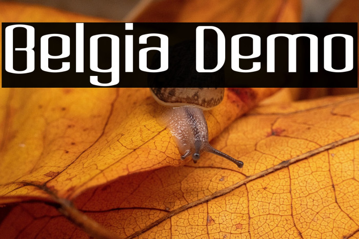 Belgia Demo Example 3