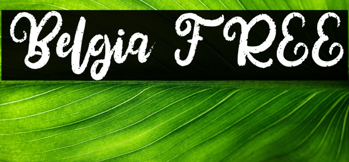 Belgia FREE Example 2