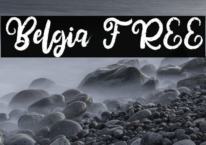 Belgia FREE Example 3