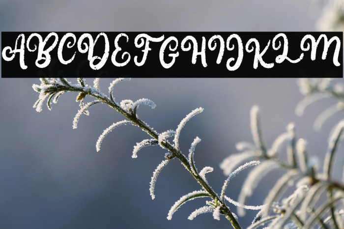 BelgiaFREE Example 3