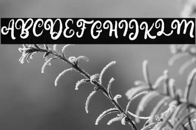 BelgiaFREE Font examples