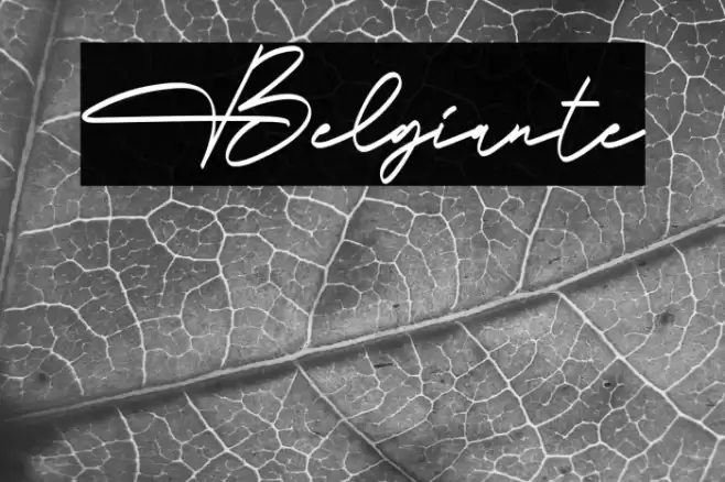 Belgiante Font examples