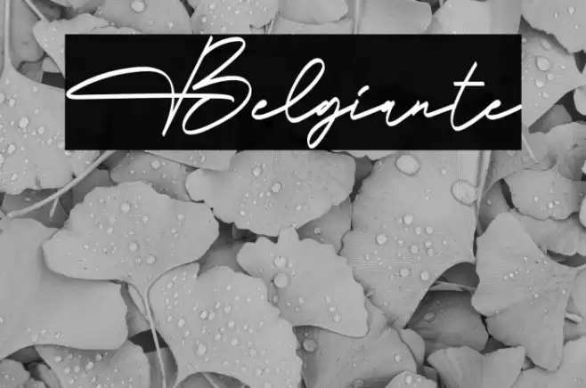 Belgiante Font examples