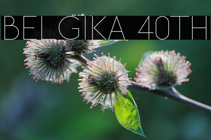 Belgika 40th Example 2