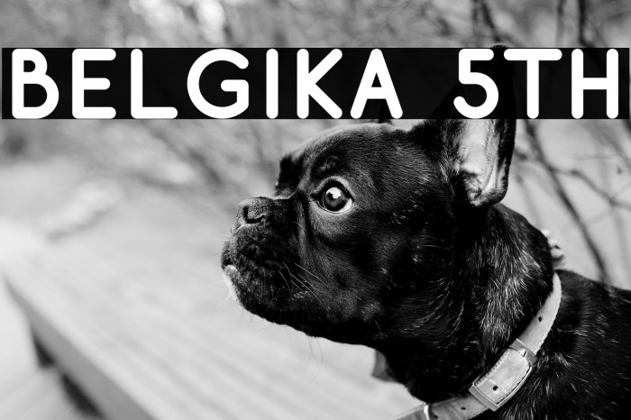 Belgika 5th Example 3