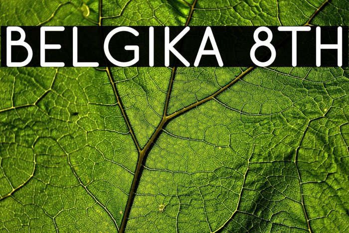 Belgika 8th Example 1