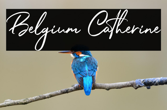 Belgium Catherine Example 1