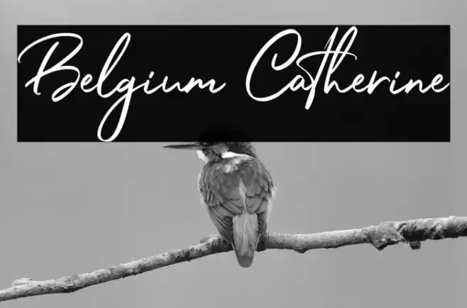 Belgium Catherine Font examples