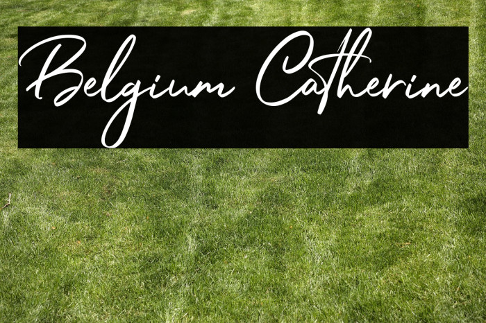 Belgium Catherine Example 3