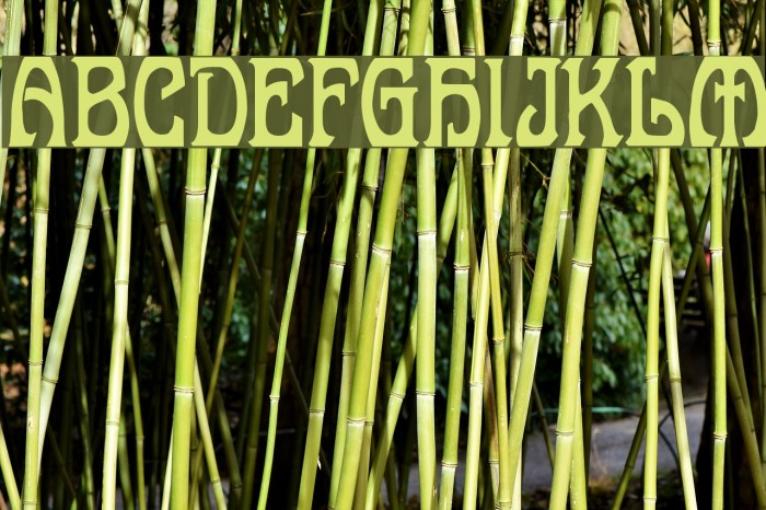 Belgravia Demo Font examples