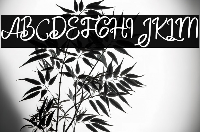 BeliauFREE Example 3