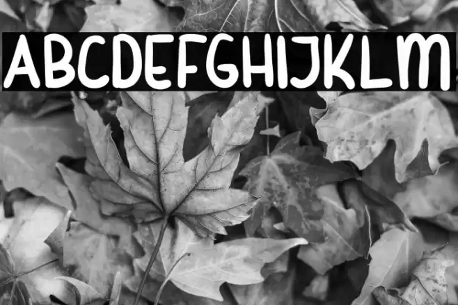 Beliday Font examples