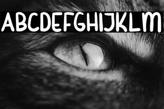 Beliday Font examples