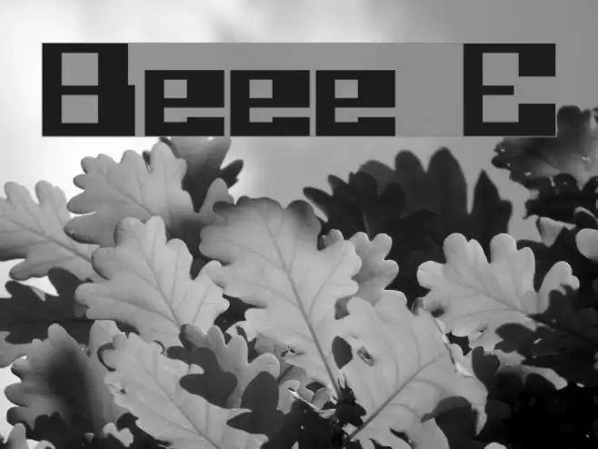 Believer Eng Font examples