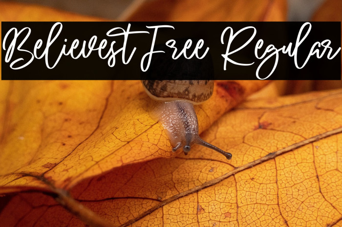 Believest Free Regular Example 2