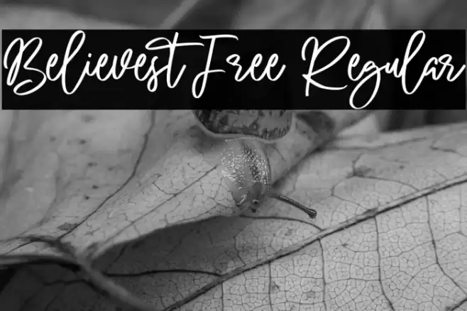 Believest Free Regular फ़ॉन्ट examples