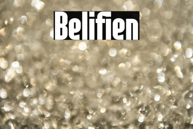 Belifien Example 1