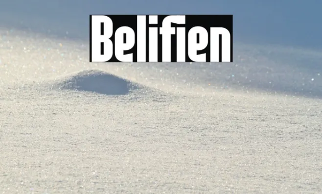 Belifien Example 2