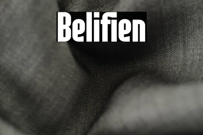 Belifien Example 3