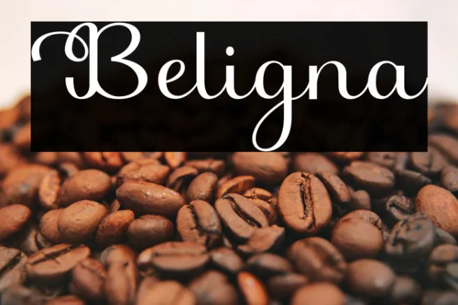 Beligna Example 1