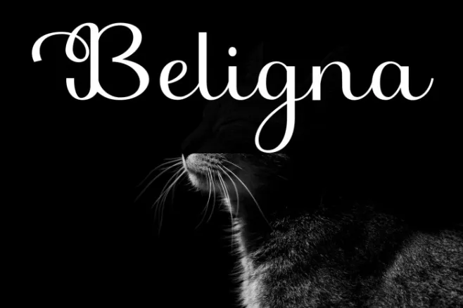 Beligna Example 2