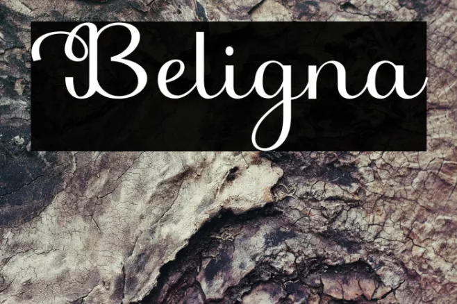 Beligna Example 3