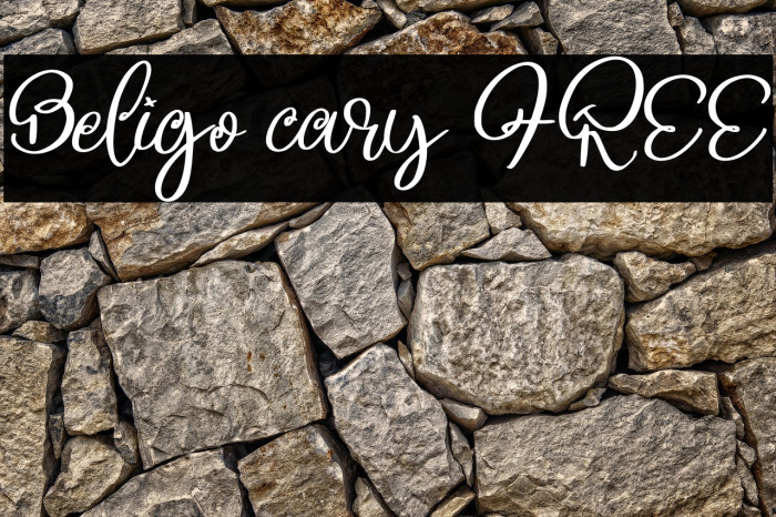 Beligo cary FREE Example 1