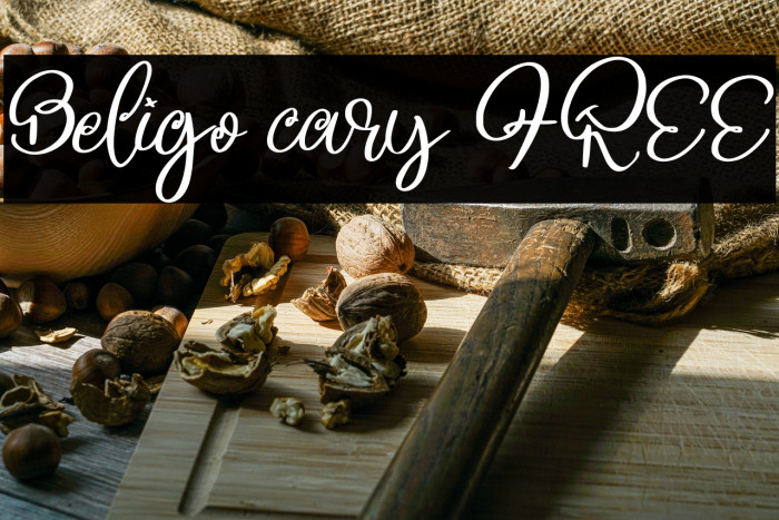 Beligo cary FREE Example 2