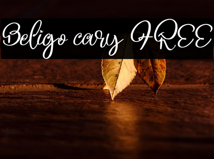 Beligo cary FREE Example 3