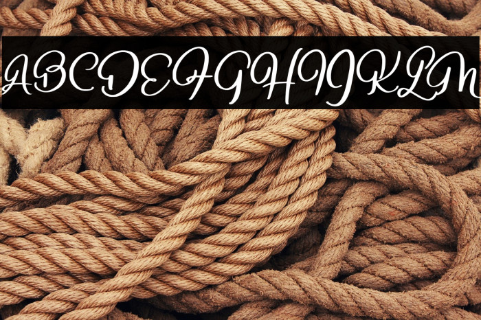 BeligocaryFREE Example 3