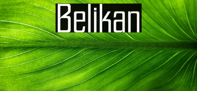 Belikan Example 1