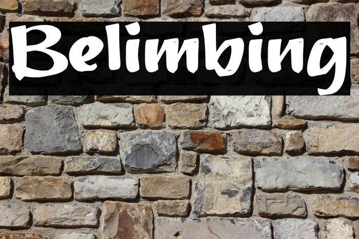 Belimbing Example 2