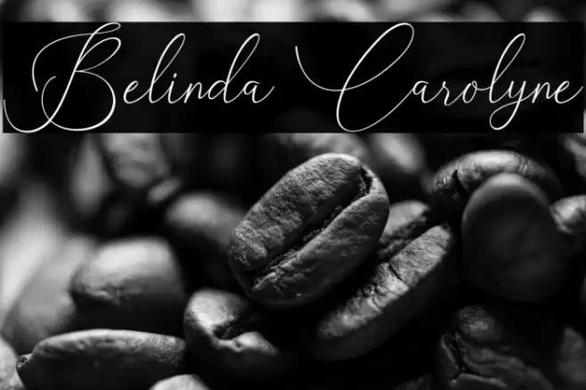 Belinda Carolyne Font examples