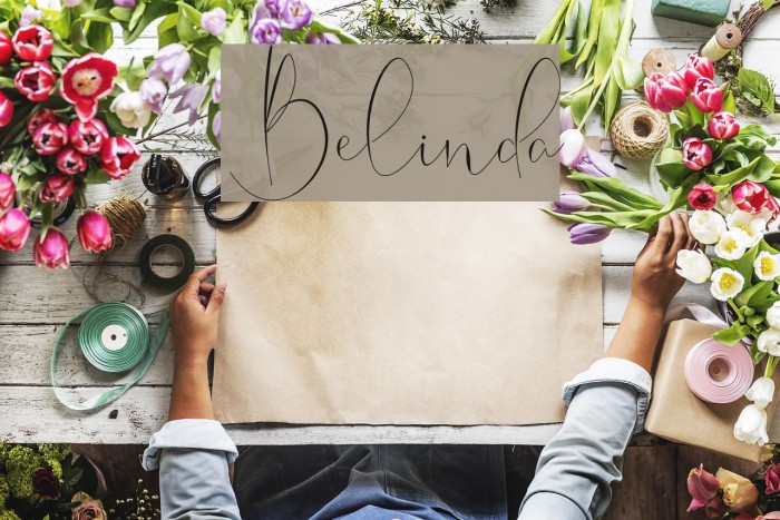 Belinda Font examples