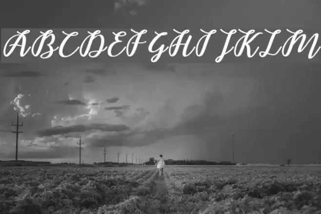 Belindascript-script フォント examples