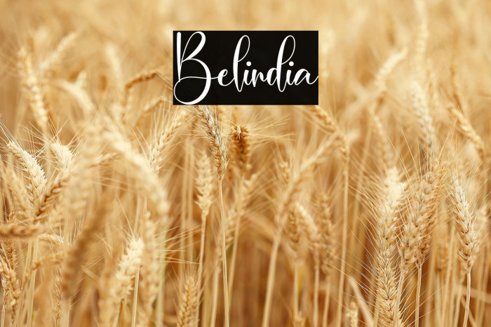 Belindia Example 3
