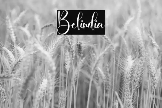 Belindia Font examples