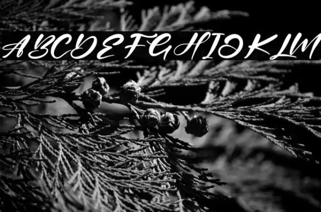 Belinta Cinta Font examples