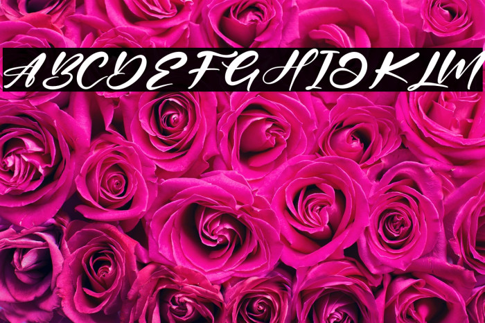 Belinta Cinta Example 3