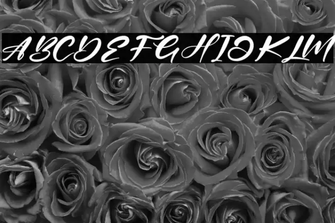 Belinta Cinta Font examples