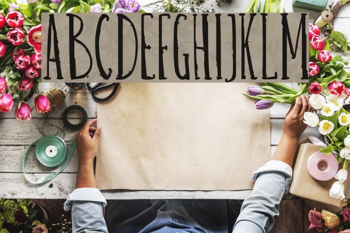 Belisa plumilla manual Schriftart examples