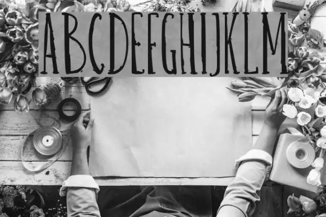 Belisa plumilla manual Schriftart examples