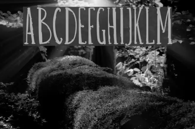 Belisa plumilla manual Schriftart examples