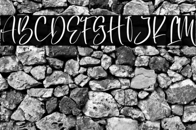 Belisa Fuentes examples