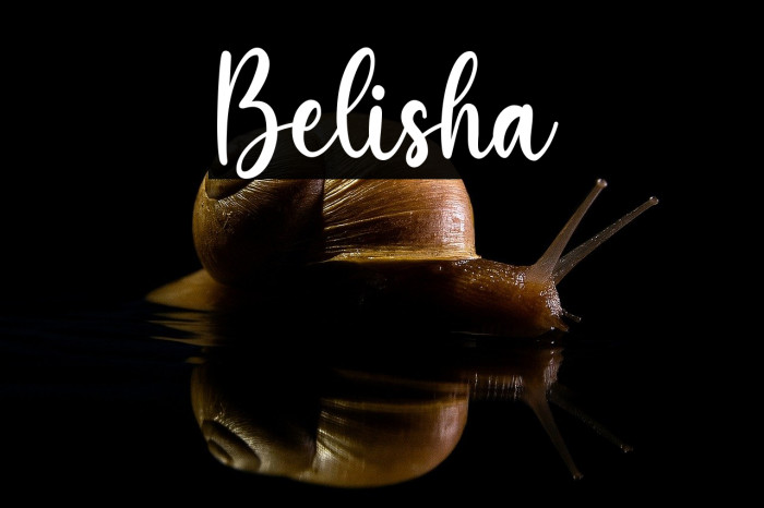 Belisha Example 1