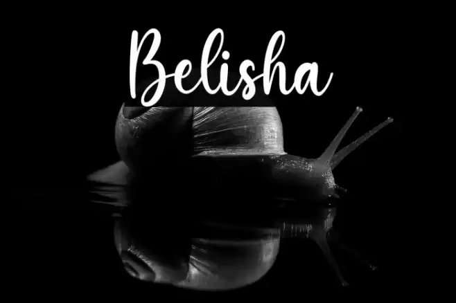 Belisha Font examples