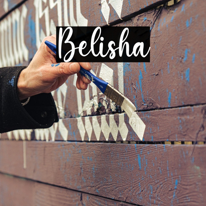 Belisha Example 3